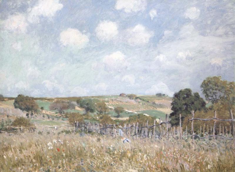 Alfred Sisley Ang